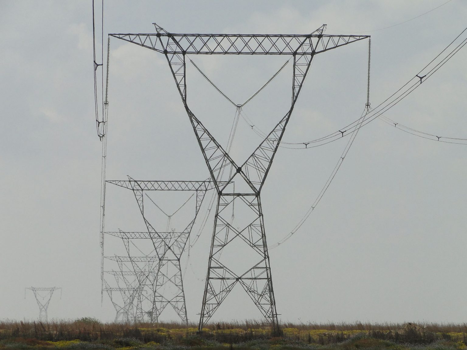 Galería Fotográfica